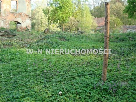 Lokal użytkowy na sprzedaż Bytom Odrzański, Bodzów 9 600m2 Foto 11