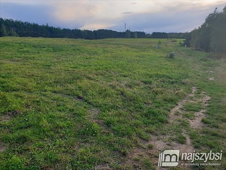 Działka budowlana na sprzedaż Jagatowo 998m2 Foto 6