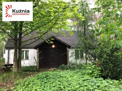 Działka budowlana na sprzedaż Osieczek 2 647m2 Foto 5