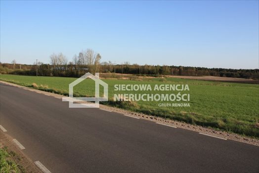 Działka siedliskowa na sprzedaż Stara Kiszewa 8 767m2 Foto 7