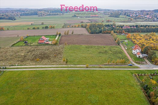 Działka budowlana na sprzedaż Łęcze 5 001m2 Foto 4