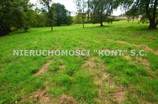 Działka budowlana na sprzedaż Giebułtów, Graniczna 2 000m2 Foto 5