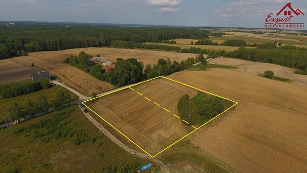 Działka inna na sprzedaż Turznica 6 800m2 Foto 4