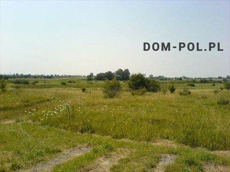 Działka inwestycyjna na sprzedaż Zamość 43 420m2 Foto 1