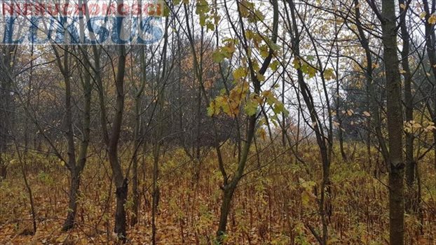 Działka budowlana na sprzedaż Sękocin Nowy 1 075m2 Foto 2
