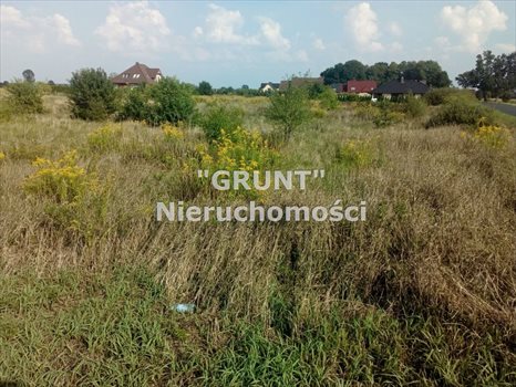 Działka inna na sprzedaż Ługi Ujskie 1 060m2 Foto 4