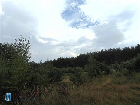 Działka budowlana na sprzedaż Kopana 1 431m2 Foto 4
