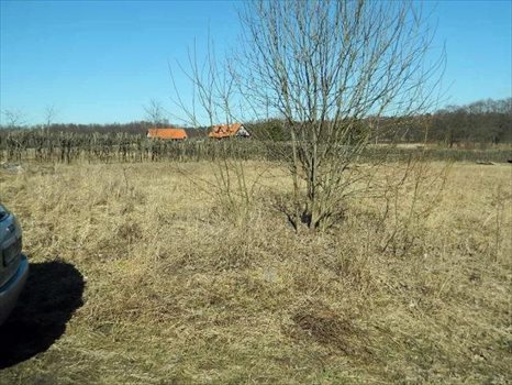 Działka rolna na sprzedaż Kamionki 3 079m2 Foto 10