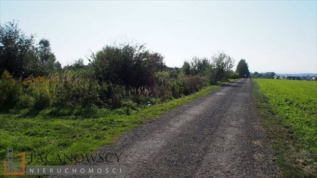 Działka budowlana na sprzedaż Bibice 2 397m2 Foto 7