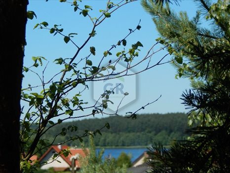Działka rekreacyjna na sprzedaż Kościerzyna, Kościerzyna, Plebanka 2 532m2 Foto 5