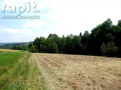Działka budowlana na sprzedaż Krzyszkowice 1 275m2 Foto 6
