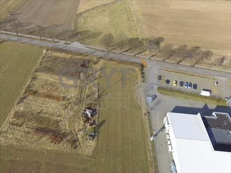 Działka inwestycyjna na sprzedaż Bierkowo 10 000m2 Foto 1