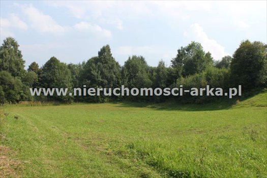 Działka budowlana na sprzedaż Gruszowiec 3 400m2 Foto 8