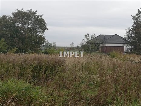 Działka inna na sprzedaż Trójca 1 859m2 Foto 4