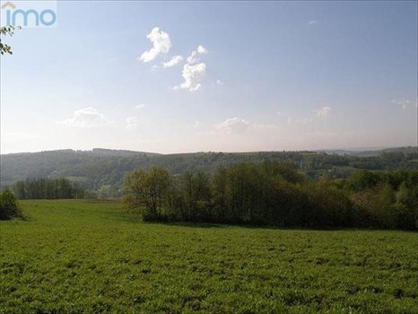Działka budowlana na sprzedaż Kielnarowa 1 450m2 Foto 8