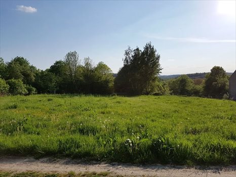Działka inna na sprzedaż Działoszyn 2 100m2 Foto 5