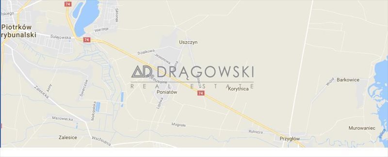 Działka inwestycyjna na sprzedaż Korytnica 14 524m2 Foto 2