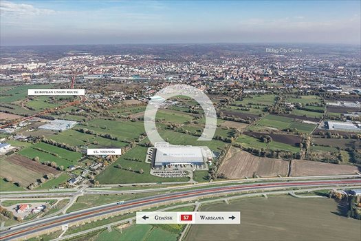 Lokal użytkowy na wynajem Elbląg 2 500m2 Foto 7