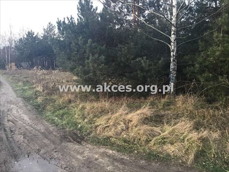 Działka budowlana na sprzedaż Łoś, Łoś 1 000m2 Foto 2