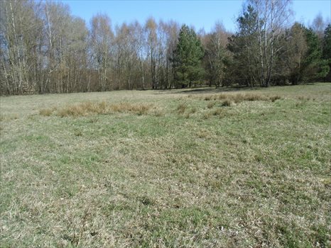 Działka budowlana na sprzedaż Kielno, Wiśniowa 1 002m2 Foto 2