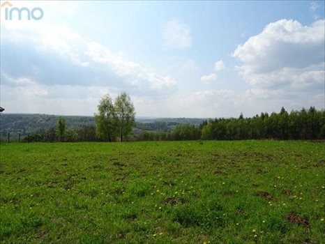 Działka budowlana na sprzedaż Kielnarowa 1 450m2 Foto 4