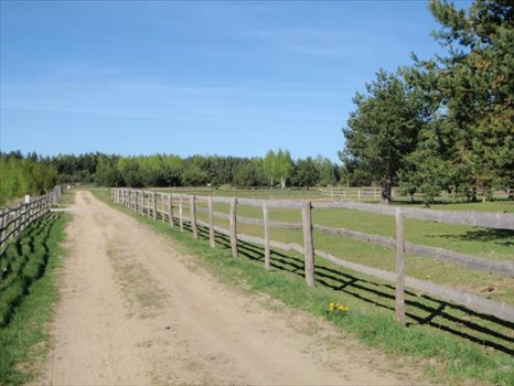 Działka budowlana na sprzedaż Dąbrówka, Leśna 1 583m2 Foto 11