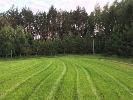Dom na sprzedaż Nowa Karczma, Nowa Karczma 182m2 Foto 12