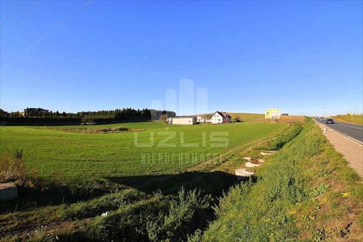 Działka inna na sprzedaż Janowo, Pelplińska 3 000m2 Foto 7