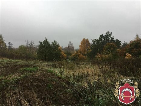 Działka budowlana na sprzedaż Łapino, Łapino Kartuskie, okolice Brzozowa 1 000m2 Foto 8