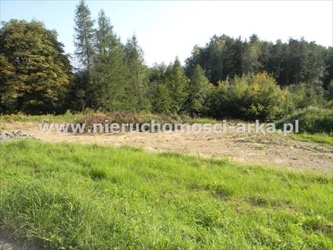 Działka budowlana na sprzedaż Limanowa, Sowliny 3 400m2 Foto 3