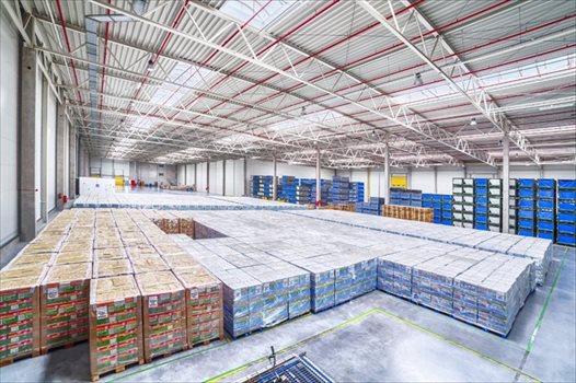 Lokal użytkowy na wynajem poznan 1 600m2 Foto 3