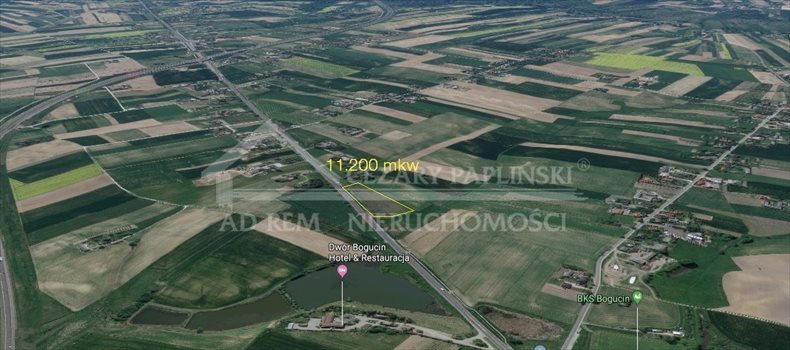 Działka inwestycyjna na sprzedaż Bogucin 11 200m2 Foto 4