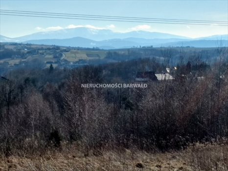 Działka inna na sprzedaż Barwałd Średni 2 446m2 Foto 4