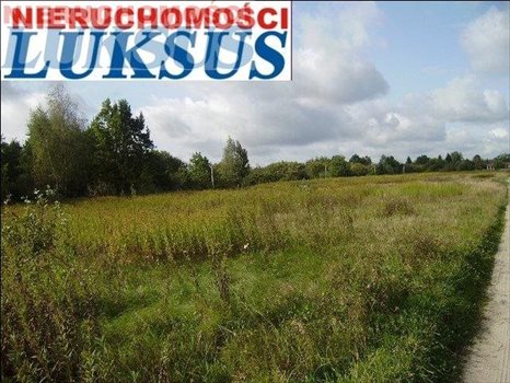Działka budowlana pod dzierżawę Prażmów, Nowy Prażmów, Sporna 25 806m2 Foto 2