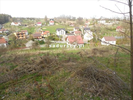 Działka budowlana na sprzedaż Balice, Radziwiłłowska 1 700m2 Foto 6