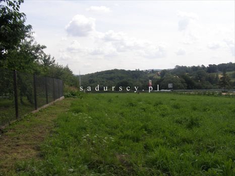 Działka inwestycyjna na sprzedaż Libertów 14 200m2 Foto 7
