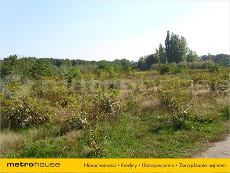 Działka inna na sprzedaż Łódź, Bałuty 3 576m2 Foto 4