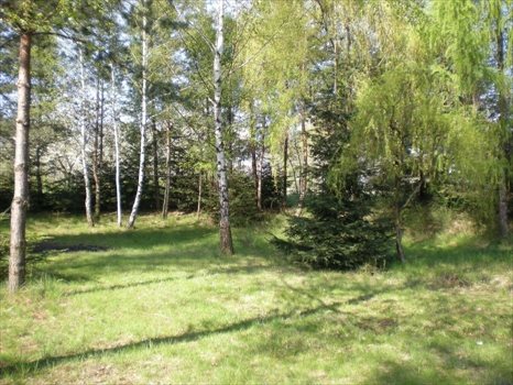 Działka budowlana na sprzedaż Kozy, Kęcka 3 552m2 Foto 2