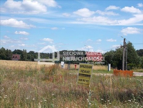 Działka rolna na sprzedaż Małe Swornegacie 4 792m2 Foto 5
