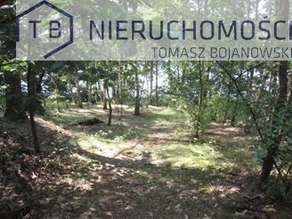 Działka budowlana na sprzedaż Powidz, Nad Jeziorem, Przybrodzin 3 000m2 Foto 4