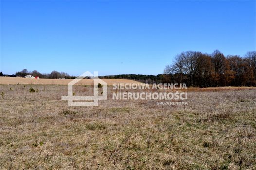 Działka budowlana na sprzedaż Tokary 1 052m2 Foto 3