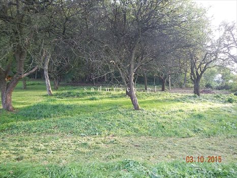Działka budowlana na sprzedaż Kraków, Zwierzyniec, Olszanica, Pod Skałą 2 031m2 Foto 4