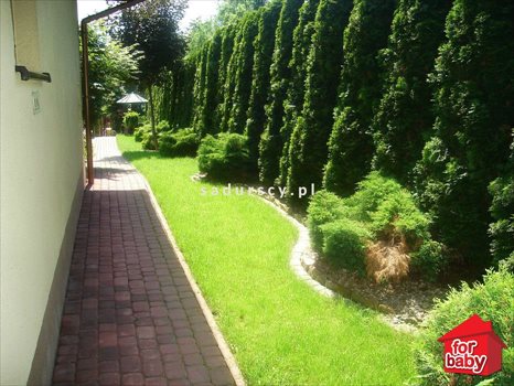 Dom na sprzedaż Giebułtów, Graniczna 300m2 Foto 8
