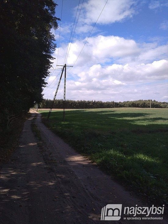 Działka siedliskowa na sprzedaż Kolincz, obrzeża 4 900m2 Foto 6