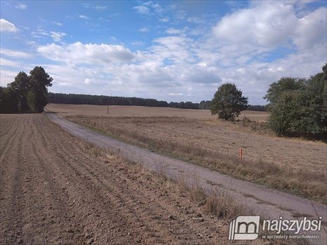 Działka siedliskowa na sprzedaż Kolincz, obrzeża 4 900m2 Foto 9
