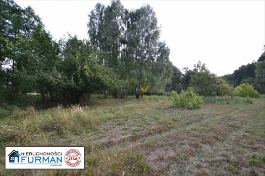 Działka siedliskowa na sprzedaż Biała 28 600m2 Foto 4