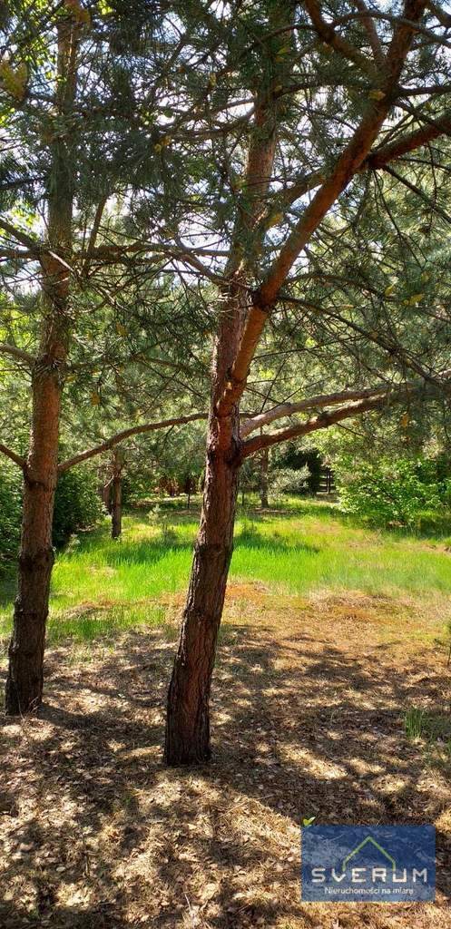 Działka rekreacyjna na sprzedaż Skowronów 854m2 Foto 6