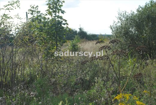 Działka budowlana na sprzedaż Balice, Krakowska 4 200m2 Foto 5