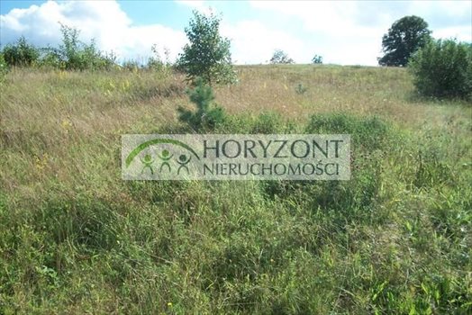 Działka budowlana na sprzedaż Łapalice 1 500m2 Foto 8