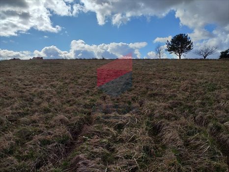 Działka budowlana na sprzedaż Pręgowo, prof. Bronisława Bukowskiego 9 164m2 Foto 3